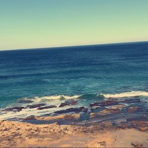 Meet your Posher, Georgie